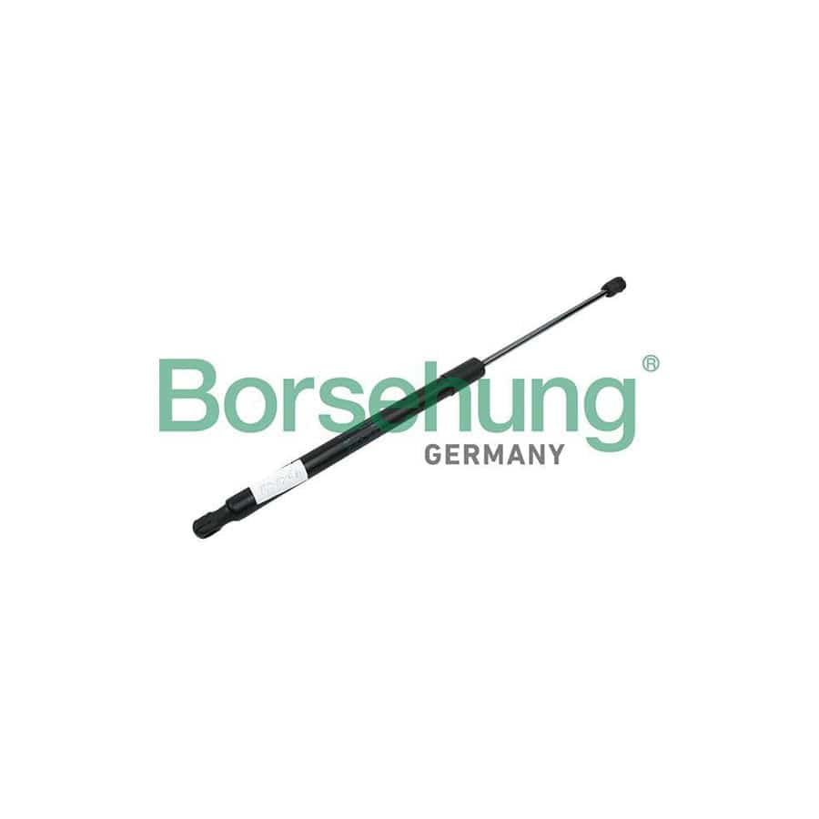 Borsehung B14201 Tailgate Strut for Skoda Yeti (5L)