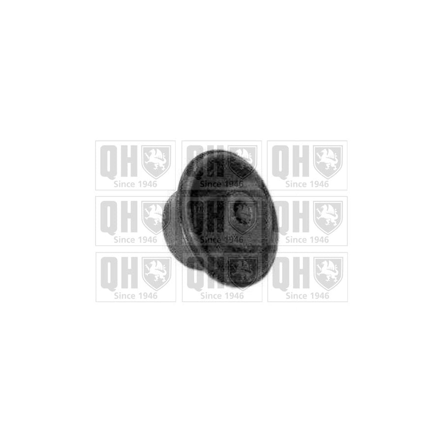 Quinton Hazell EMS2433 Control Arm / Trailing Arm Bush For VW Passat
