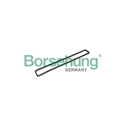 Borsehung B1C023 Timing Chain