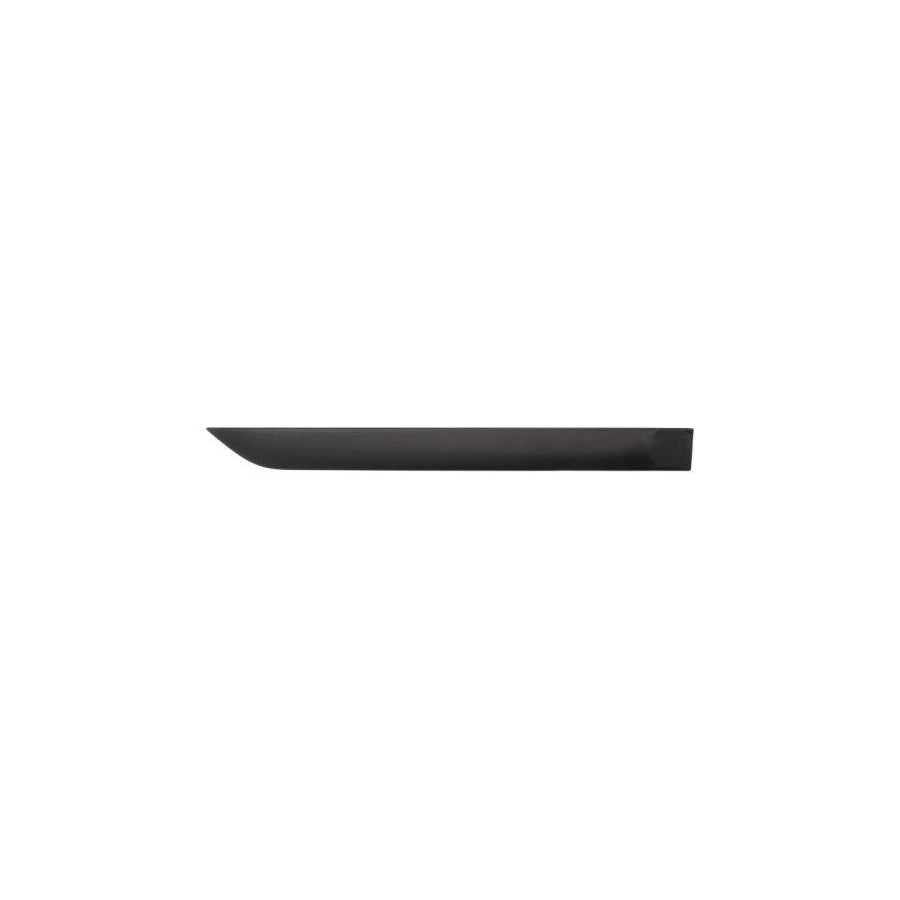 Blic 5703-04-2532578P Door Molding For Ford Focus