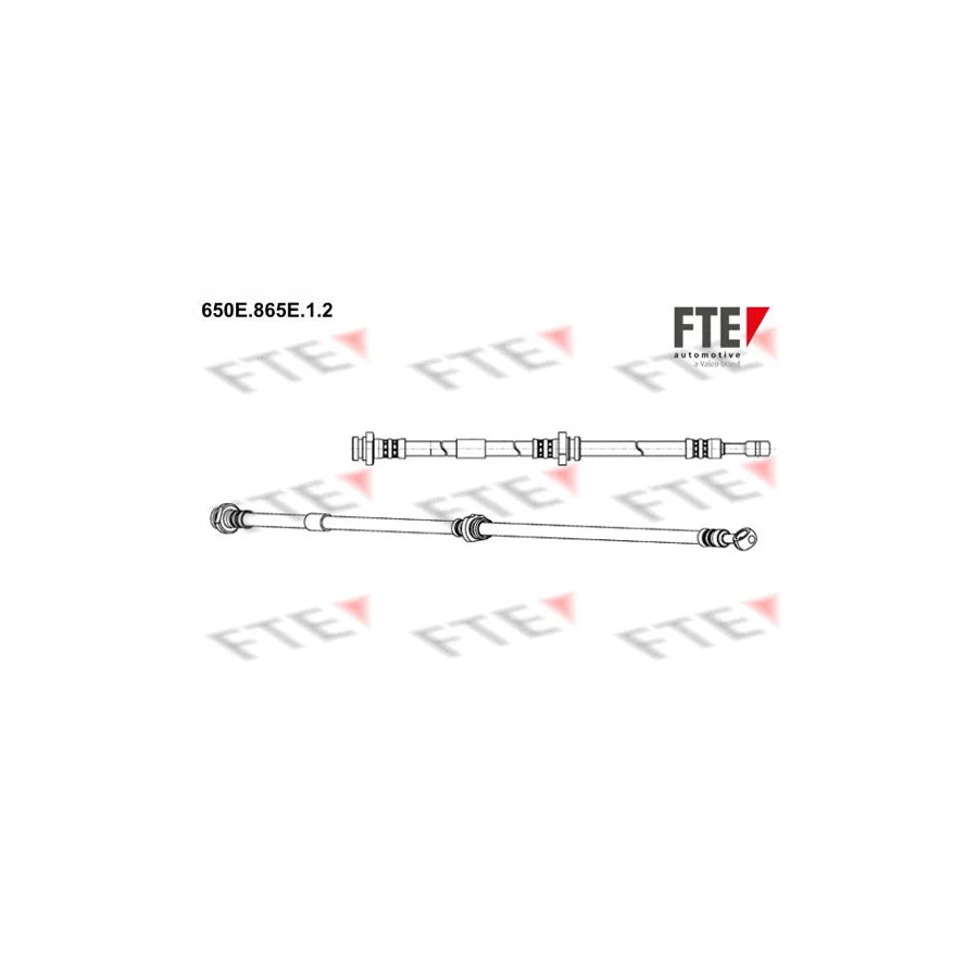 FTE 650E.865E.1.2 Brake Hose for Nissan Primera