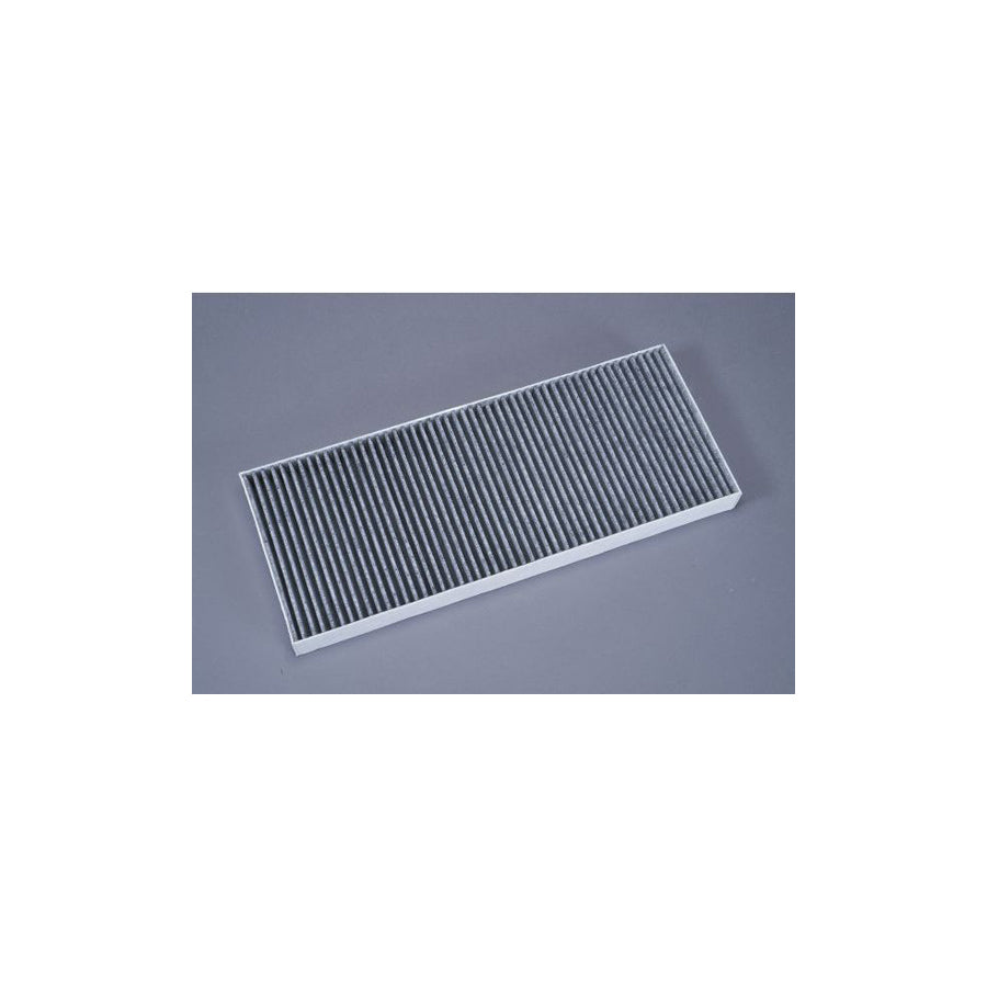 AUTOMEGA 180051110 Pollen Filter