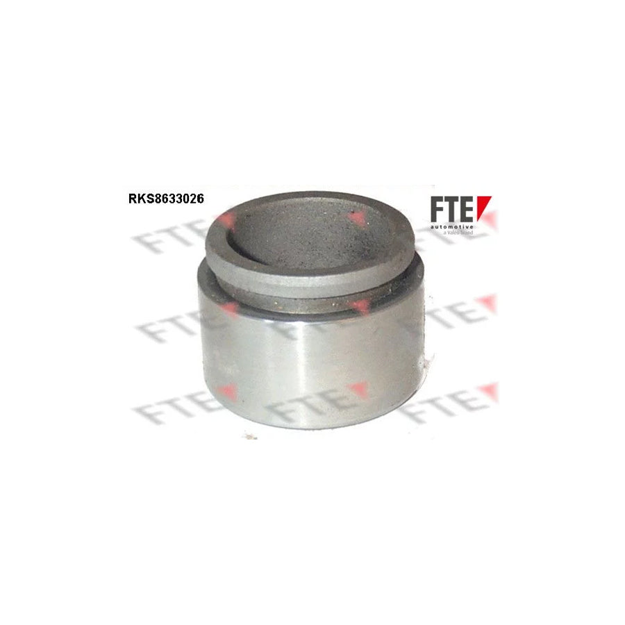 FTE Rks8633026 Piston, Brake Caliper