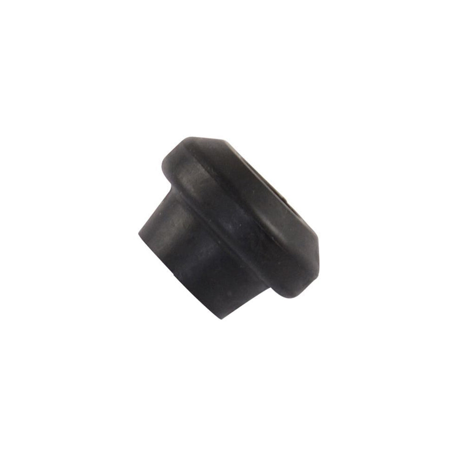 Kavo Parts SCR4575 Control Arm / Trailing Arm Bush
