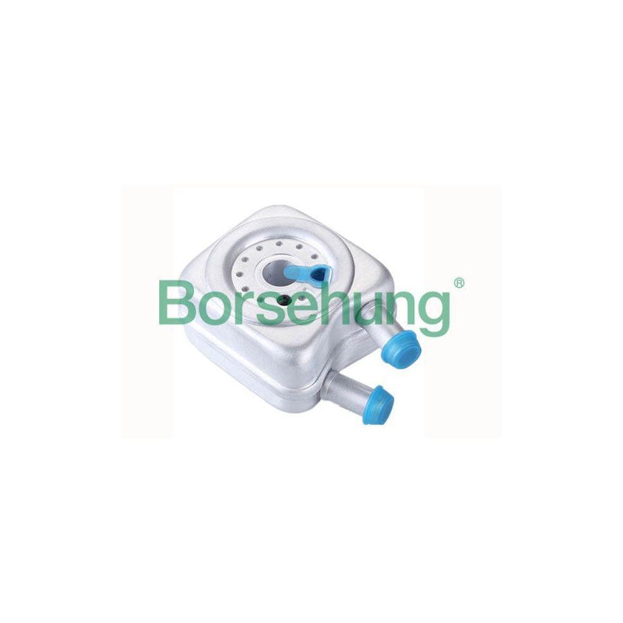 Borsehung B14506 Engine Oil Cooler