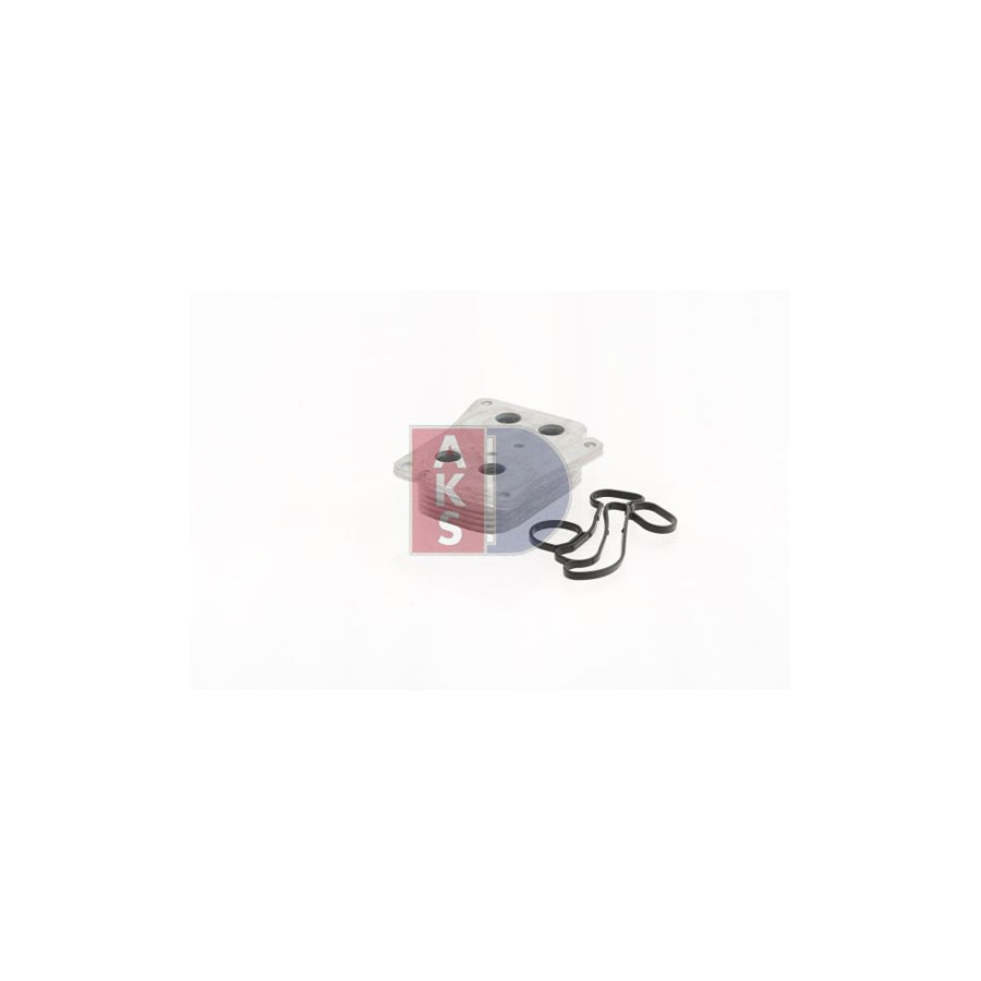 AKS Dasis 447024N Intercooler