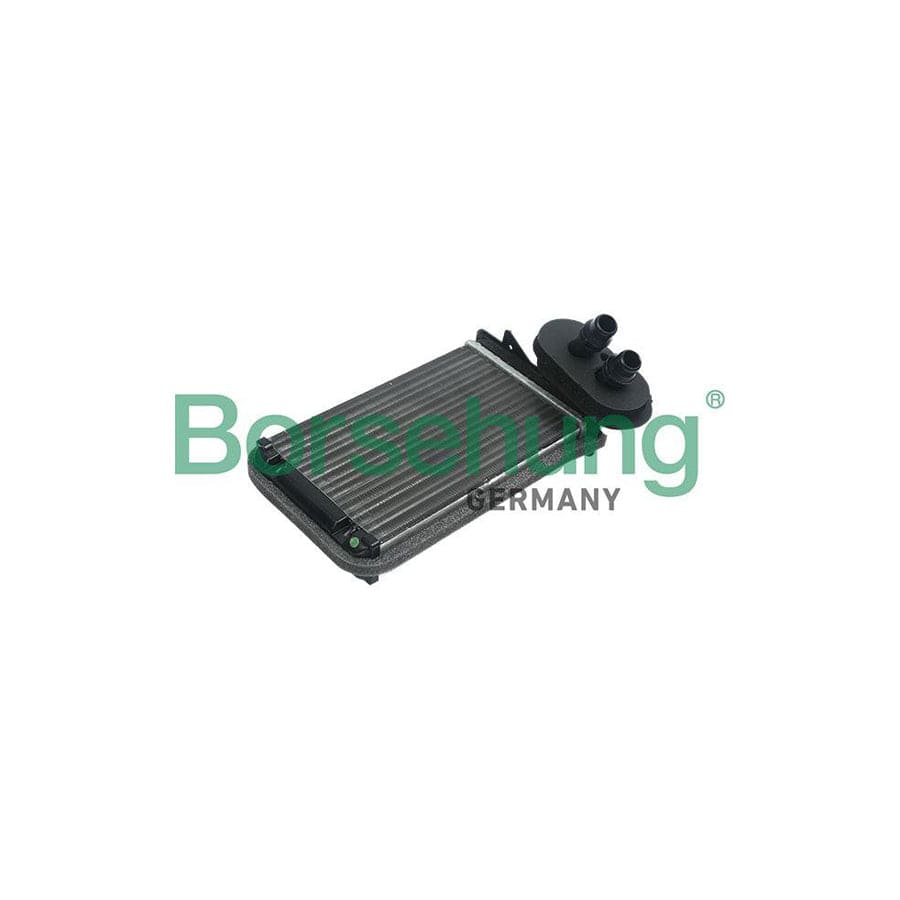 Borsehung B14504 Heater Matrix