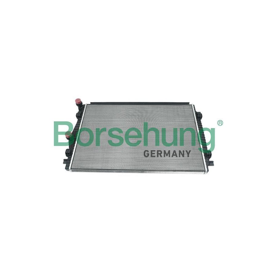 Borsehung B14500 Engine Radiator