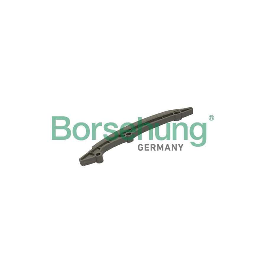 Borsehung B1G021 Guides, Timing Chain