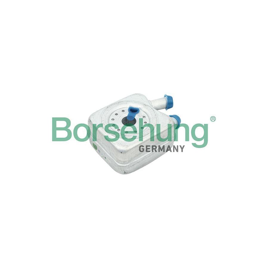 Borsehung B14497 Engine Oil Cooler