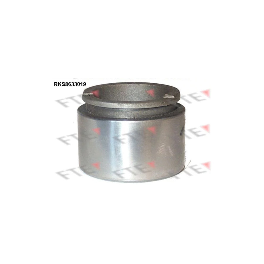 FTE Rks8633019 Piston, Brake Caliper
