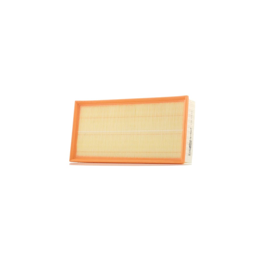 Champion CAF100562P Air Filter