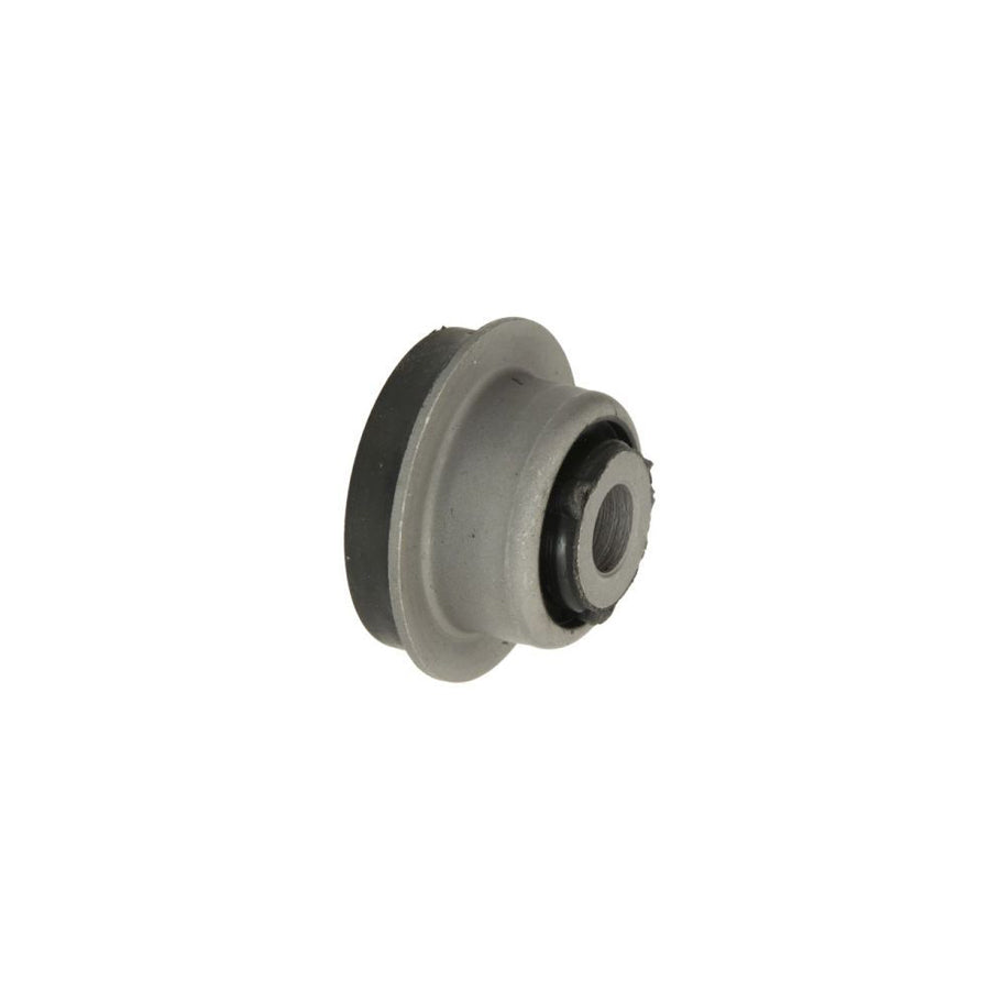 Reinhoch Rh150038 Control Arm / Trailing Arm Bush
