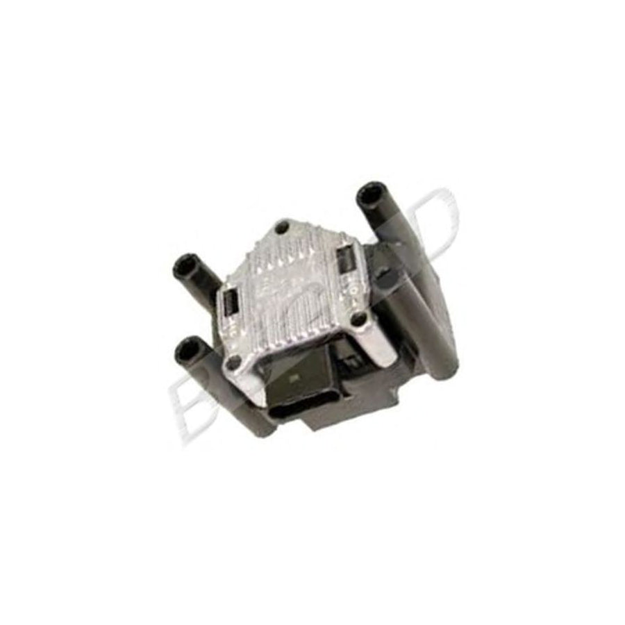 BUGIAD Bsp22365 Ignition Coil