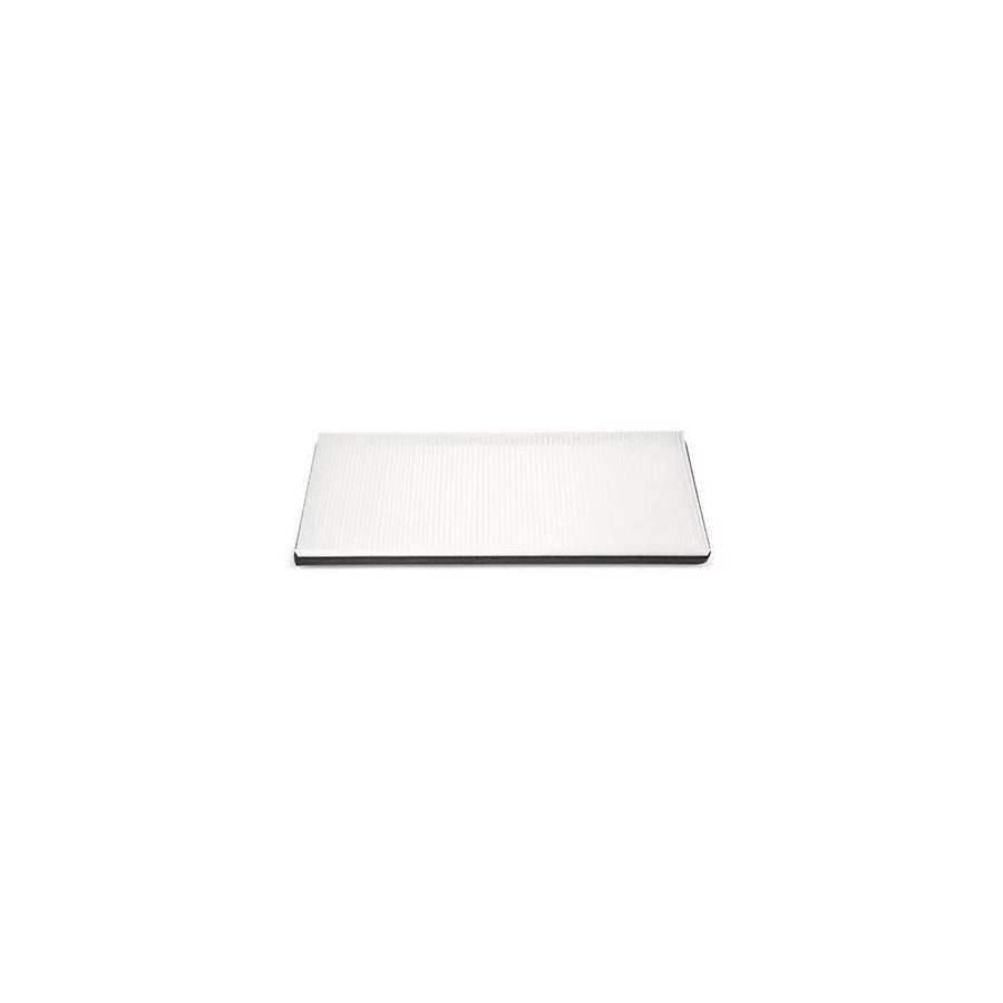 Fleetguard Af26139 Pollen Filter