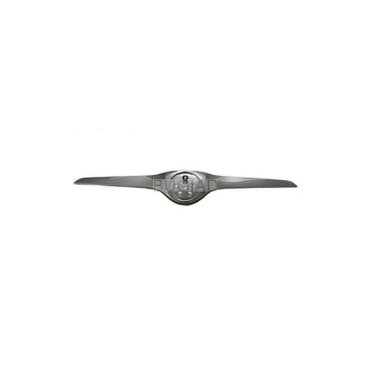BUGIAD Bsp22399 Radiator Grille