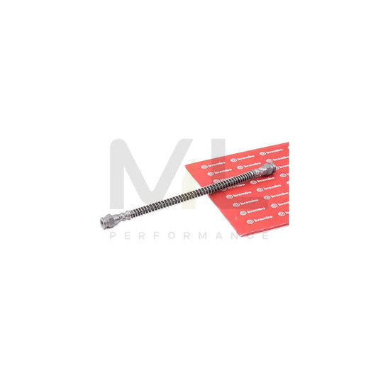 BREMBO T 61 006 Brake Hose 278mm, F10X1 | ML Performance Car Parts