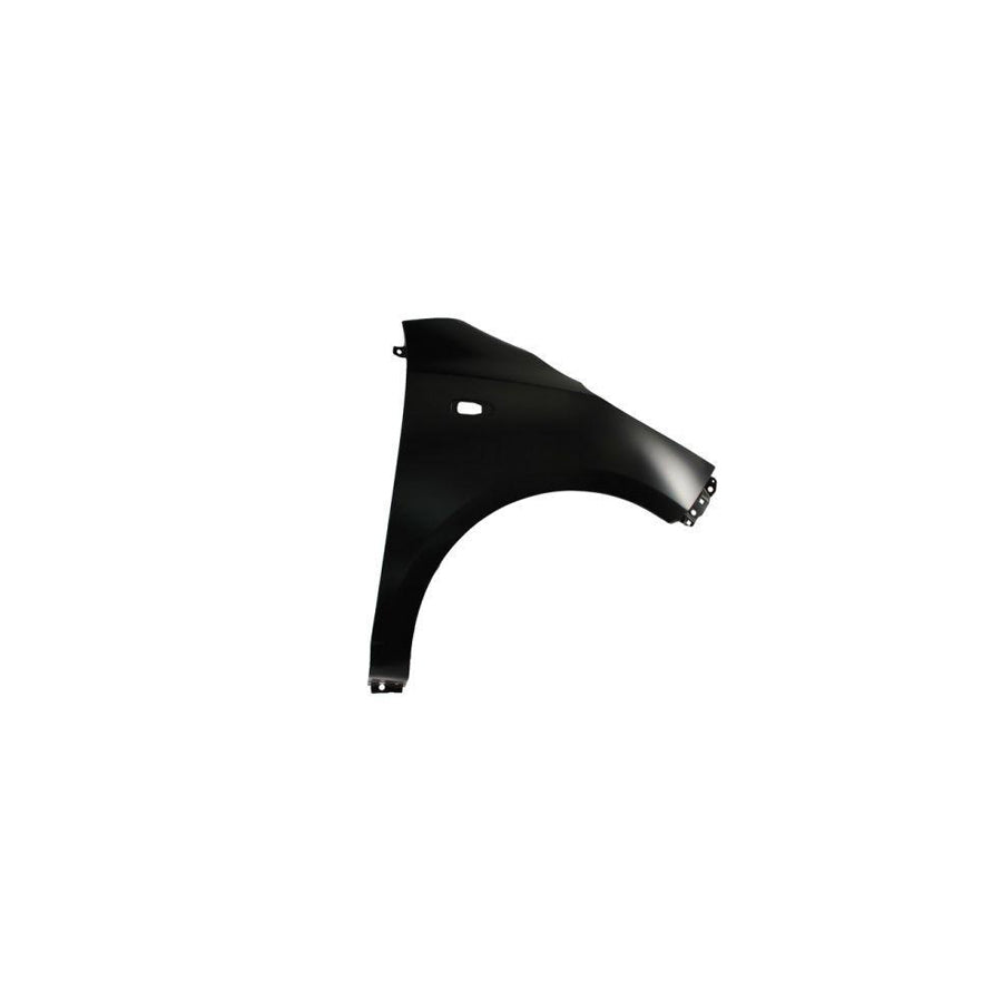 Blic 6504-04-3120312P Wing Fender For Hyundai I10 I (Pa)