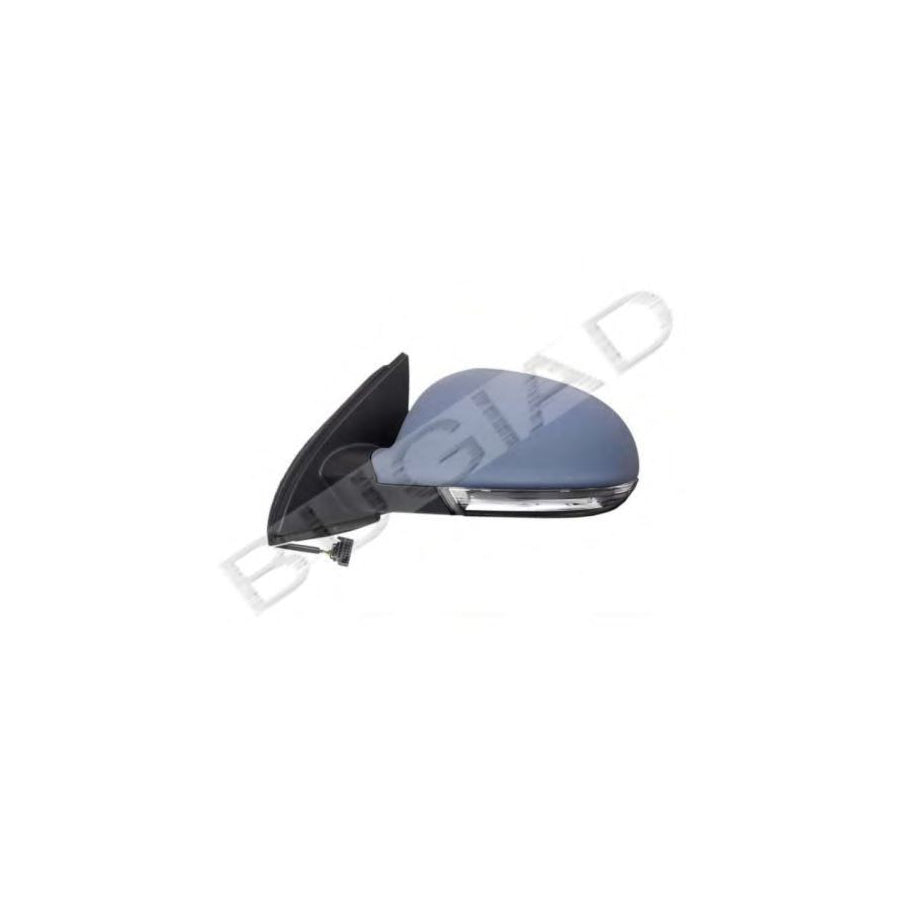 BUGIAD Bsp22415 Wing Mirror