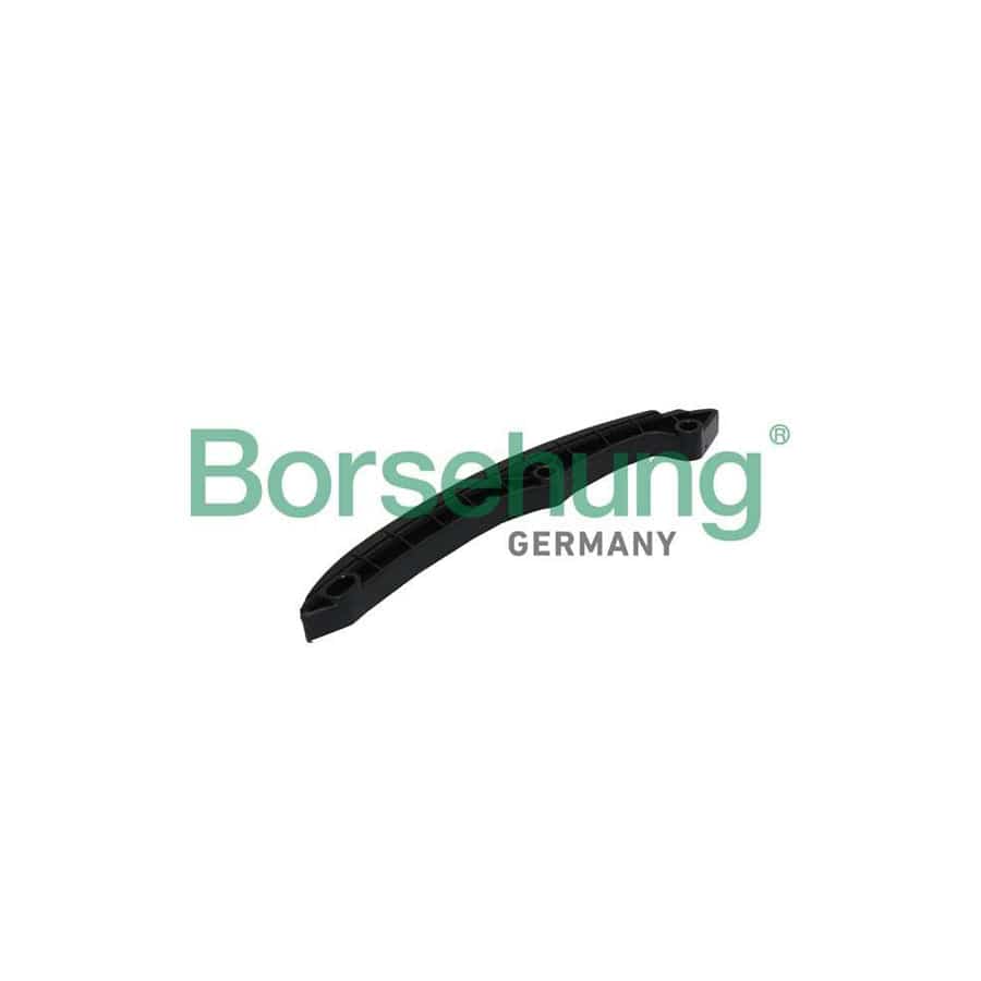 Borsehung B1G009 Guides, Timing Chain
