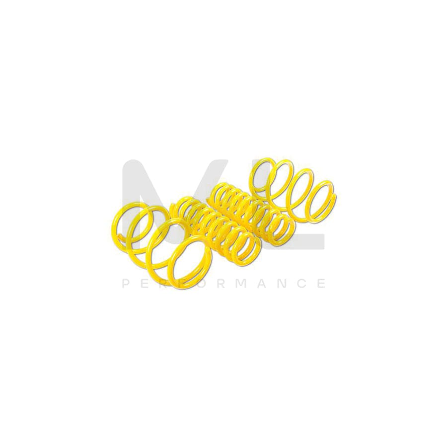 ST Suspensions 28220174 BMW F20 F21 F22 F87 F23 SPORT SPRINGS