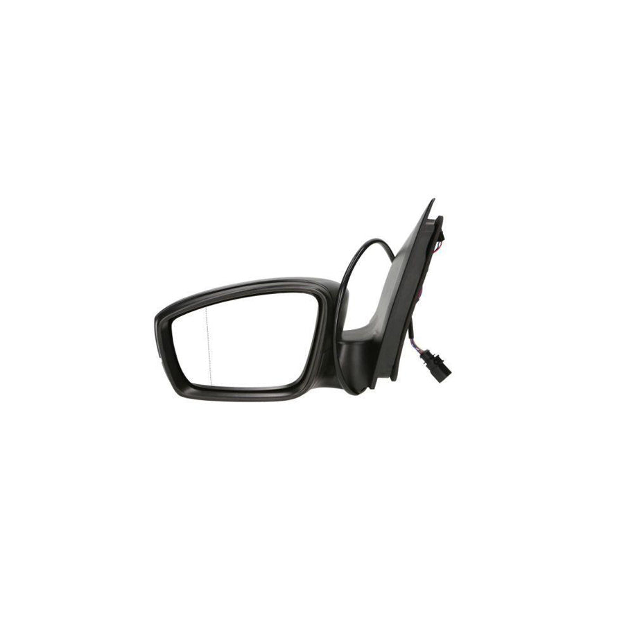 Blic 5402-10-2002311P Wing Mirror