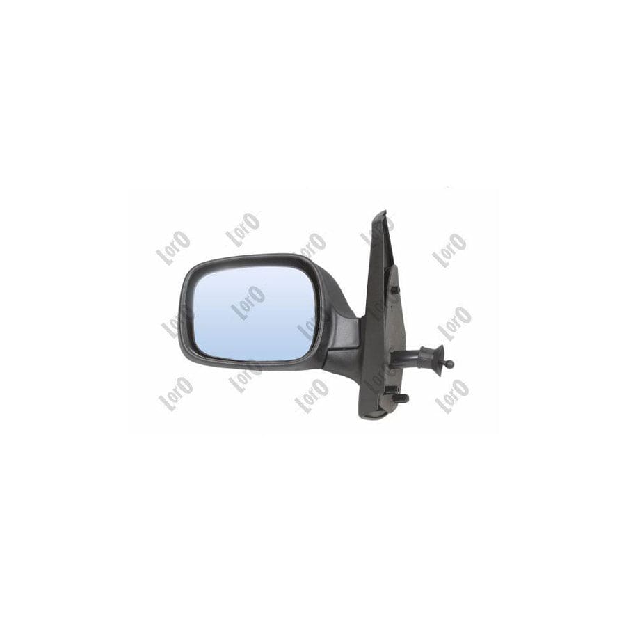 Abakus 3149M01 Wing Mirror for Renault Kangoo