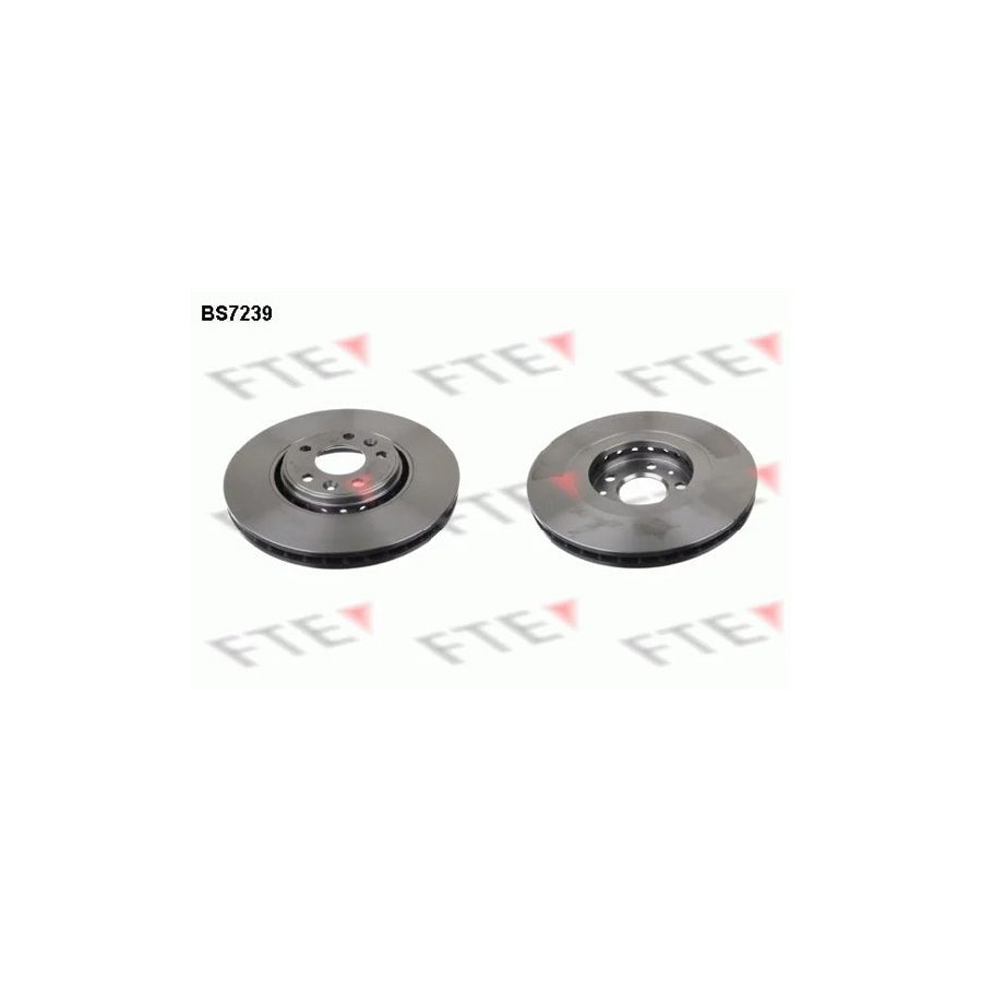 FTE Bs7239 Brake Disc