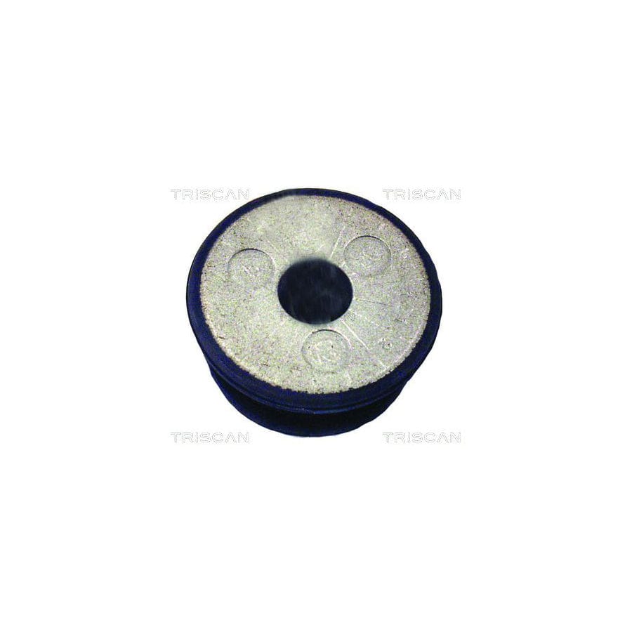 Triscan 8500 29851 Axle Bush