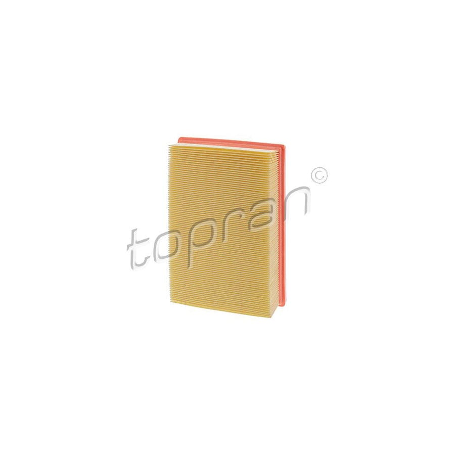 Topran 208 496 Air Filter