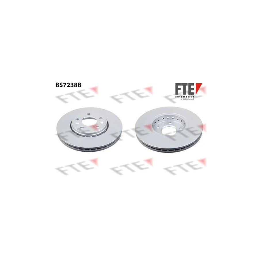 FTE Bs7238B Brake Disc