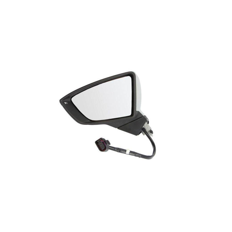 Blic 5402-10-2002305P Wing Mirror