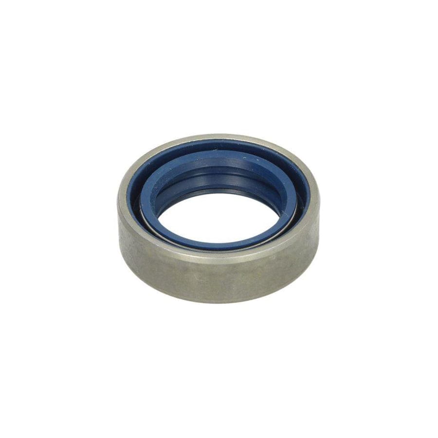 BTA B05-Ag-333 Gasket, Differential
