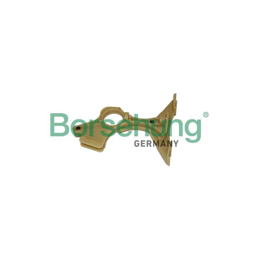 Borsehung B1G035 Guides, Timing Chain