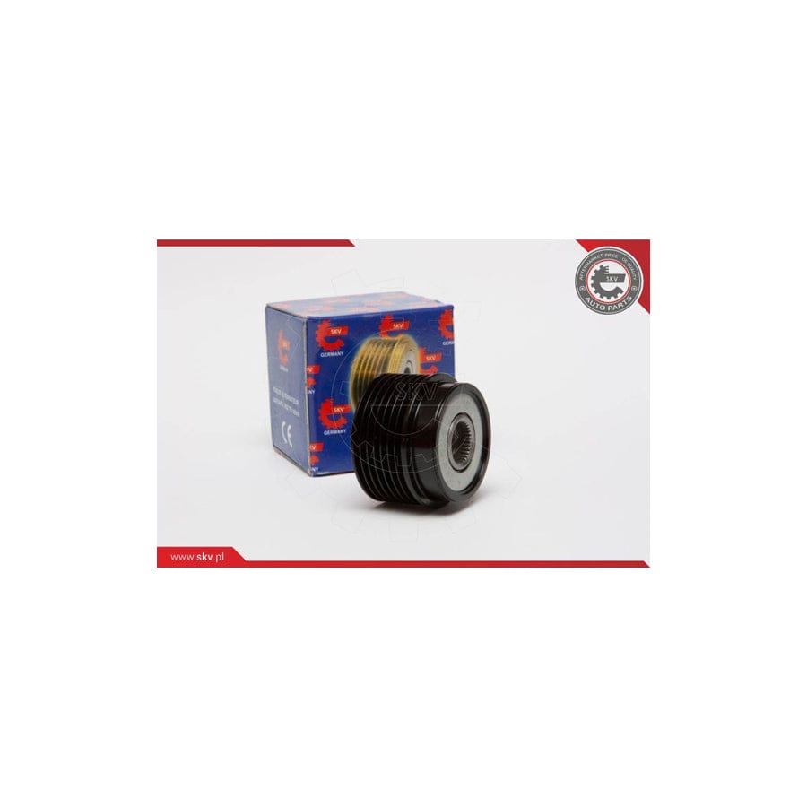 Esen Skv 11SKV051 Alternator Freewheel Clutch For Ford Transit