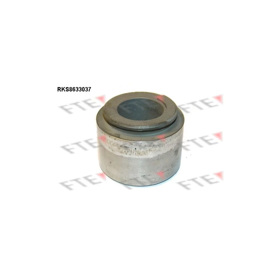 FTE Rks8633037 Piston, Brake Caliper
