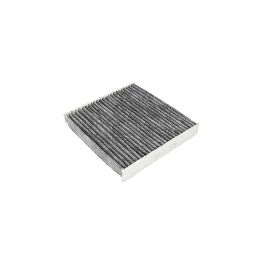 JC Premium B4G025CPR Pollen Filter