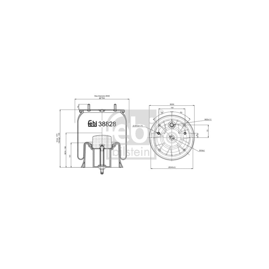 Febi Bilstein 38828 Boot, Air Suspension