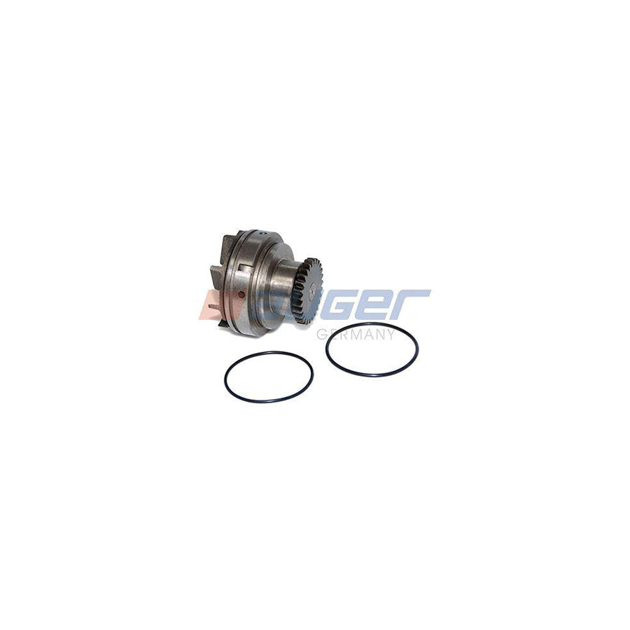 Auger 70209 Water Pump