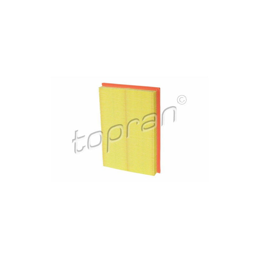 Topran 206 054 Air Filter