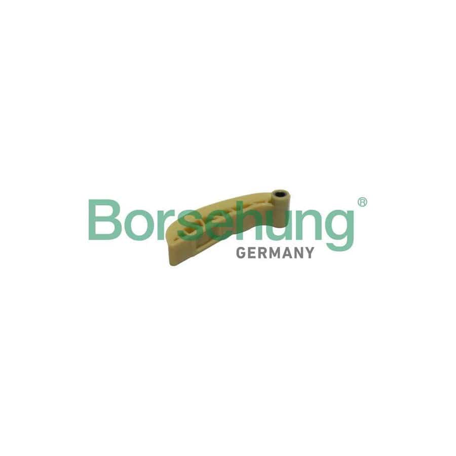 Borsehung B1G025 Guides, Timing Chain