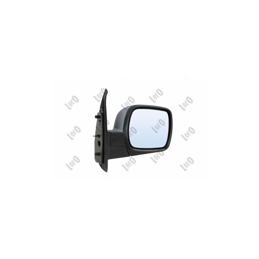 Abakus 3150M04 Wing Mirror for Renault Kangoo