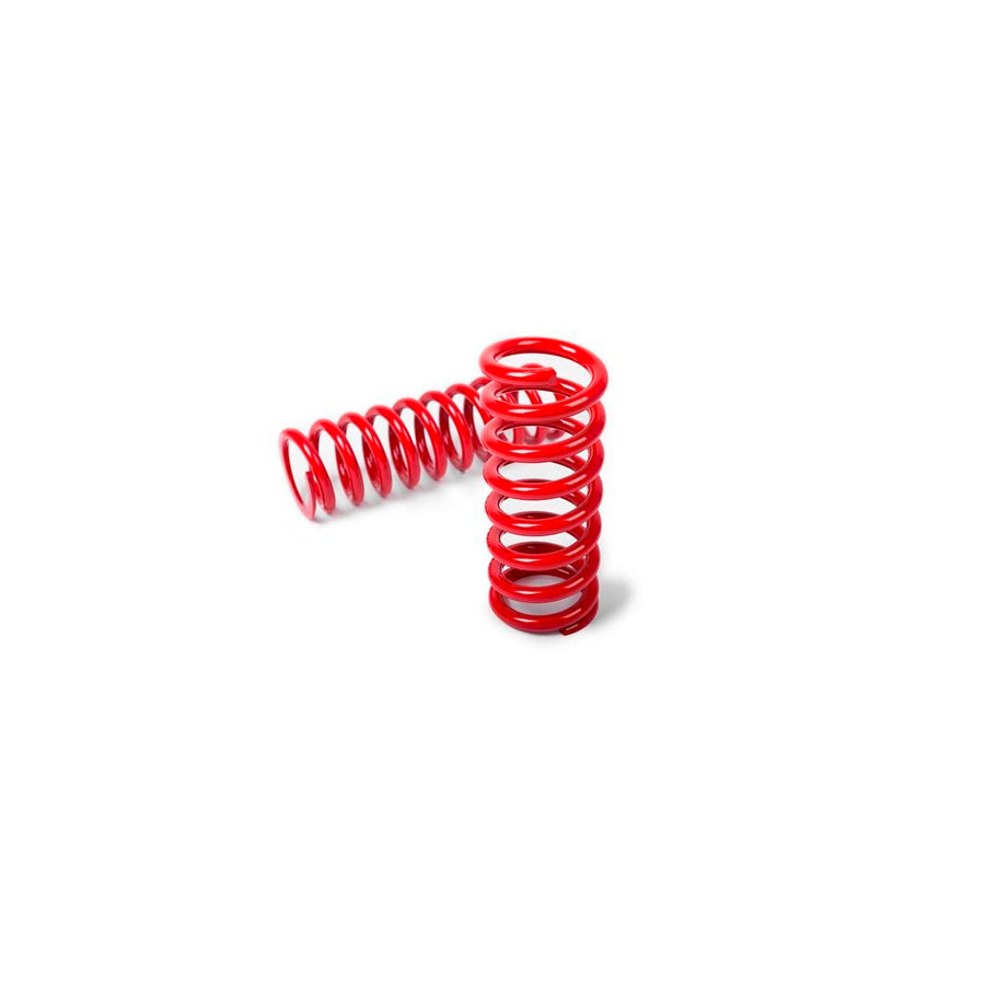 MTS Technik Volkswagen Rear Stance Springs - MTSXVW042HA Lowering Springs - Rear