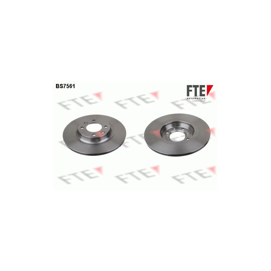 FTE 9072454 Brake Disc