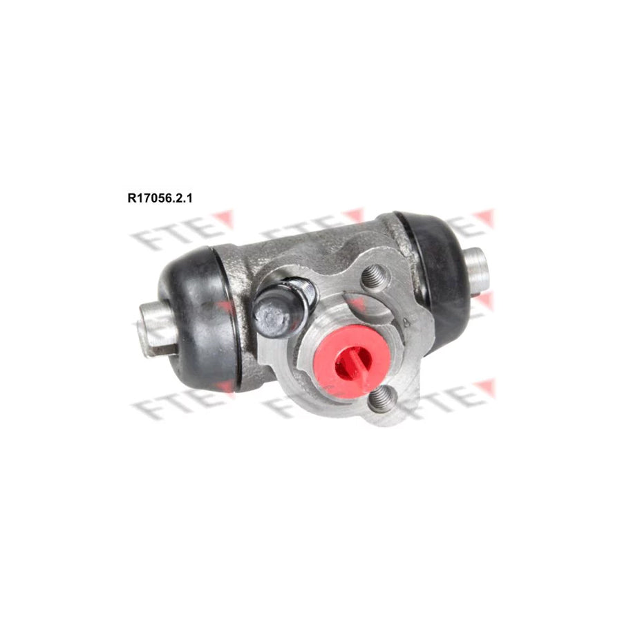 FTE R17056.2.1 Wheel Brake Cylinder