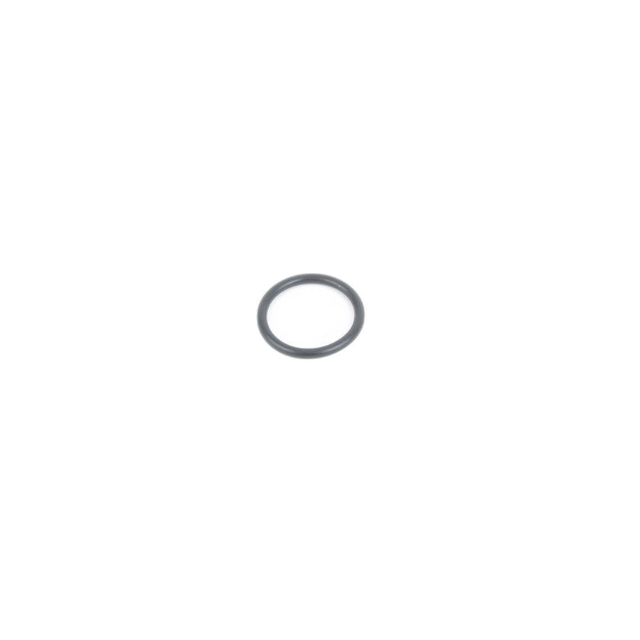 Genuine BMW 11517514942 E92 F02 E90 O-Ring (Inc. Z4 23i, 320i & 128i) | ML Performance US Car Parts