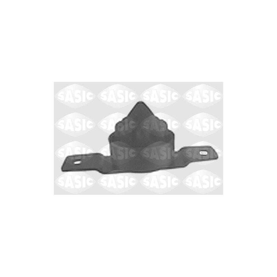 Sasic 4005511 Axle Bush