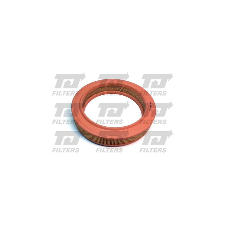 Quinton Hazell QFA0130 Air Filter