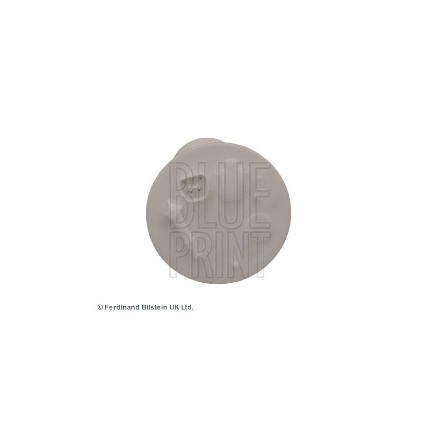 Blue Print Adc42368 Fuel Filter