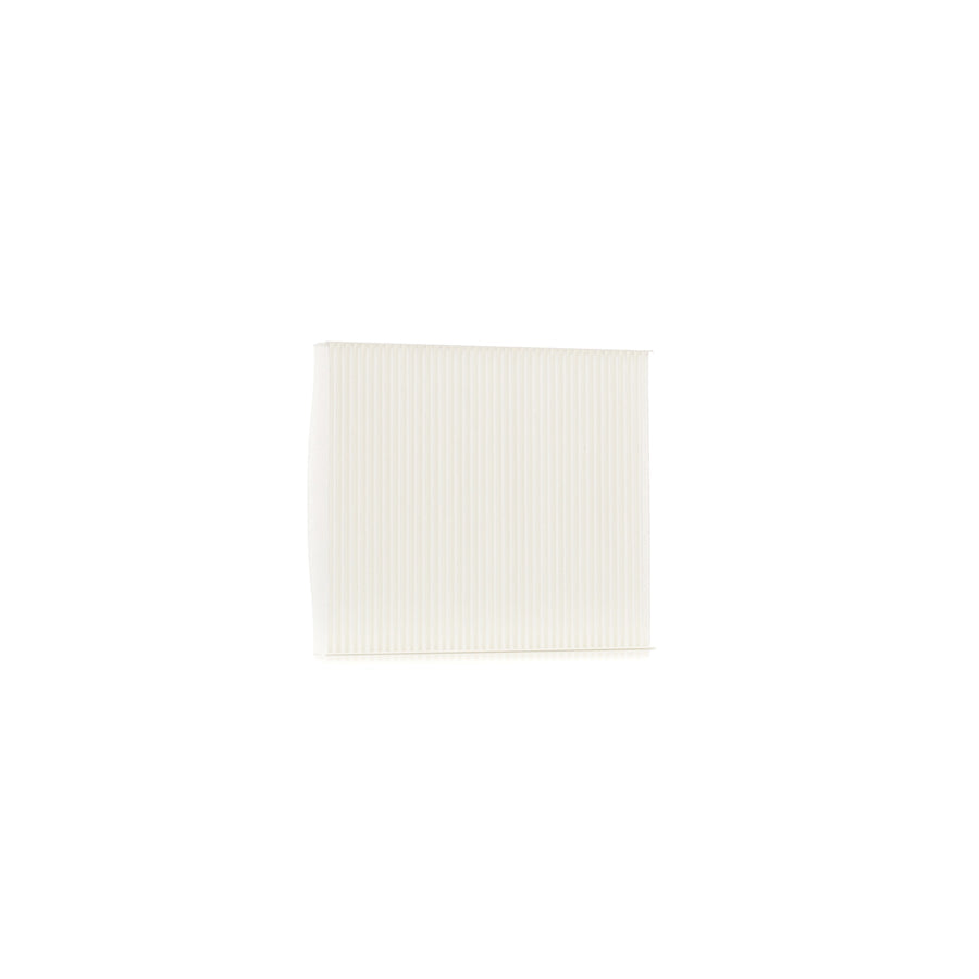 Master Sport 2545-IF-PCS-MS Pollen Filter
